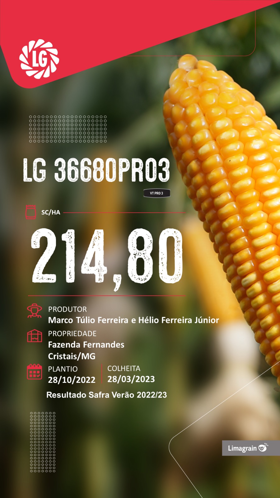 resultado-de-produtividade-lg-36680